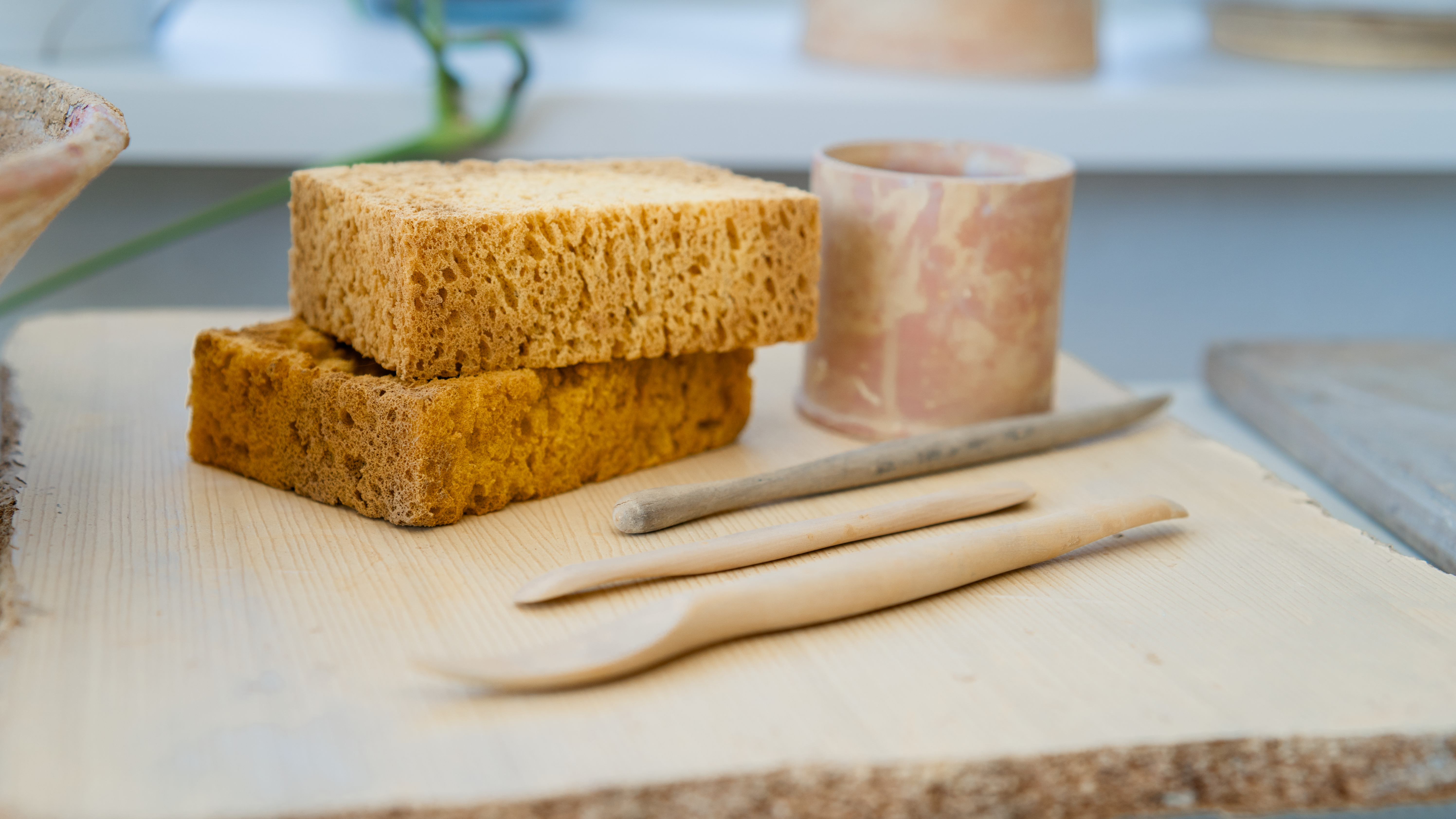 DSC02496.jpg?ts=1773071417