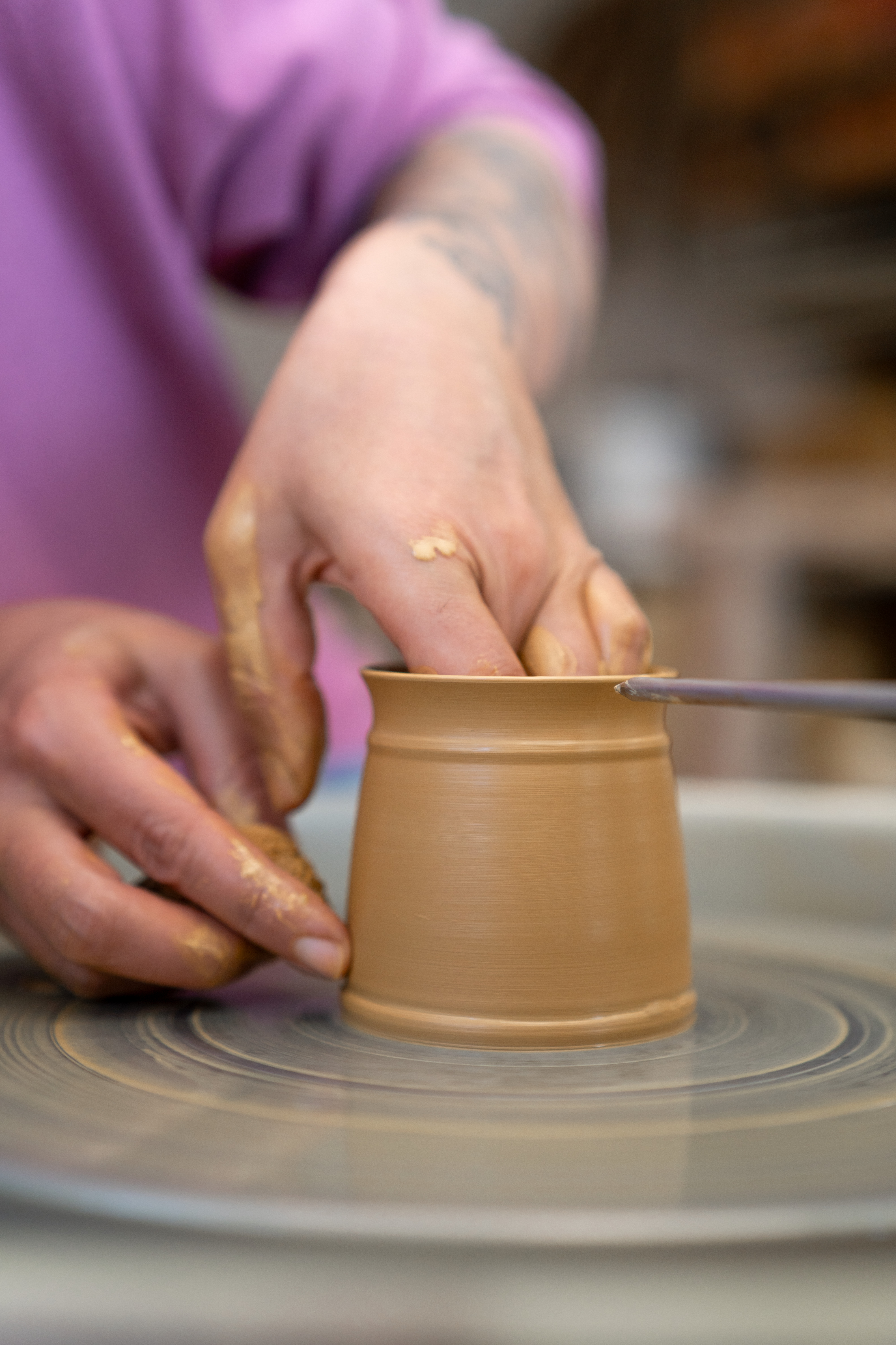 DSC02486.jpg?ts=1773071392